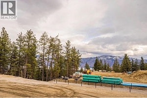 Lot 20 Scenic Ridge Drive - Photo 8