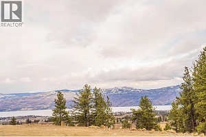 Lot 16 Scenic Ridge Drive - Photo 8