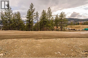 Lot 17 Scenic Ridge Drive - Photo 6