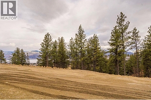 Lot 17 Scenic Ridge Drive - Photo 7