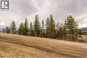 Lot 18 Scenic Ridge Drive - Photo 8