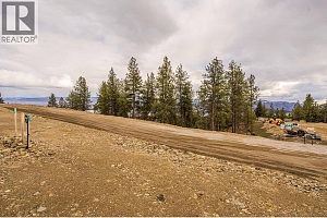 Lot 19 Scenic Ridge Drive - Photo 5