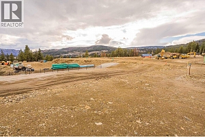 Lot 19 Scenic Ridge Drive - Photo 7