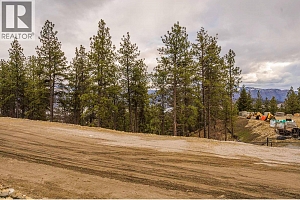 Lot 19 Scenic Ridge Drive - Photo 8