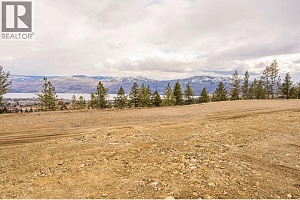 Lot 10 Scenic Ridge Drive - Photo 7