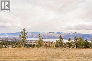 Lot 10 Scenic Ridge Drive - Photo 8