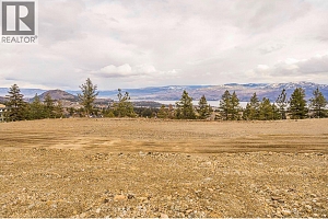 Lot 11 Scenic Ridge Drive - Photo 6