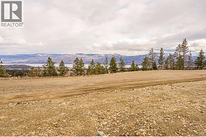 Lot 11 Scenic Ridge Drive - Photo 7