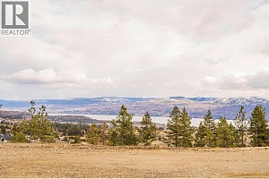 Lot 11 Scenic Ridge Drive - Photo 8