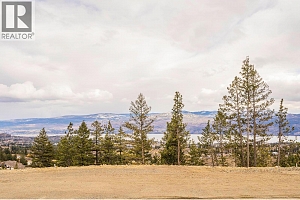 Lot 13 Scenic Ridge Drive - Photo 8