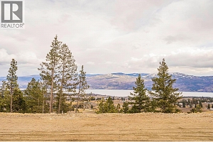 Lot 14 Scenic Ridge Drive - Photo 8