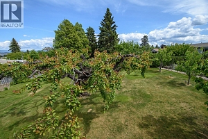 2475 Hayman Road - Photo 33