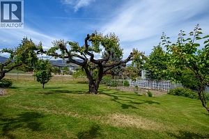 2475 Hayman Road - Photo 37