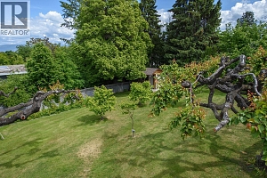 2475 Hayman Road - Photo 42