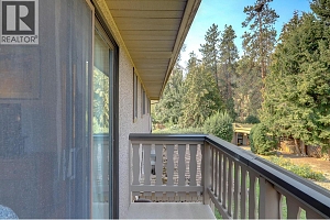 9401 Bel Air Drive - Photo 32