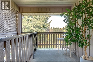9401 Bel Air Drive - Photo 45