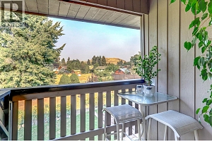 9401 Bel Air Drive - Photo 46