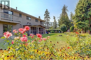 9401 Bel Air Drive - Photo 91