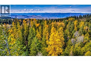 7811 Wilson Jackson Road - Photo 14