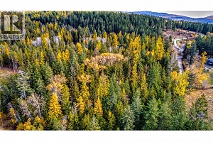 7811 Wilson Jackson Road - Photo 15