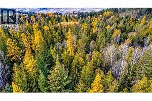 7811 Wilson Jackson Road - Photo 16