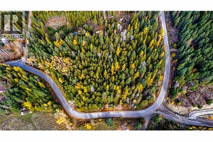 7811 Wilson Jackson Road - Photo 3