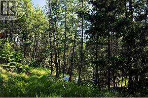 446 Grainger Road - Photo 4