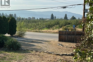 3236 McCulloch Road - Photo 34