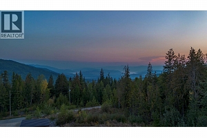 8195 Jackpine Road - Photo 86