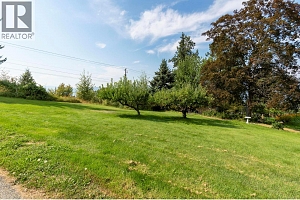 4980 Chute Lake Road - Photo 35