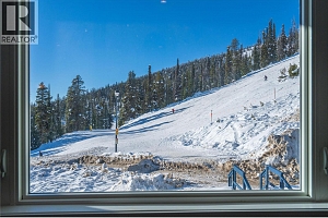 7375 Porcupine Road Unit# B6 Lot# 13 - Photo 9