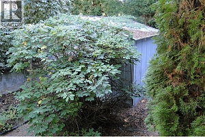 3225 Shannon Lake Road Unit# 25 - Photo 5