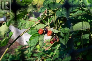 2506 Shuswap Avenue - Photo 38