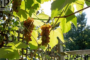 2506 Shuswap Avenue - Photo 39