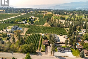 3970 June Springs Road - Photo 40