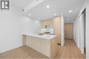 238 Leon Avenue Unit# 1503 - Photo 8