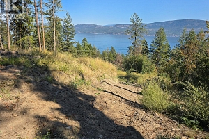 9444 Hodges Road - Photo 10