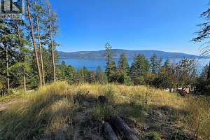 9444 Hodges Road - Photo 12