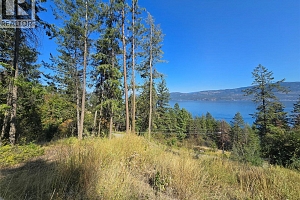 9444 Hodges Road - Photo 16