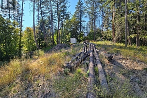 9444 Hodges Road - Photo 17