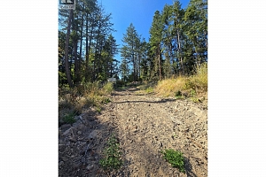 9444 Hodges Road - Photo 18