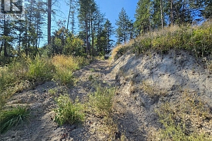 9444 Hodges Road - Photo 22
