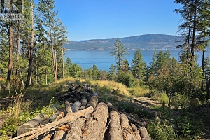 9444 Hodges Road - Photo 9