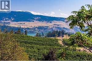 12349 Lake Hill Drive - Photo 24