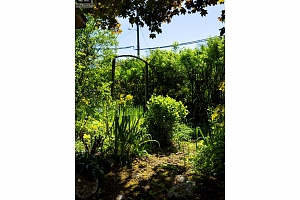 3720 Wood Avenue - Photo 49