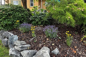 2430 Longhill Road - Photo 93