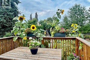 715 Mill Avenue - Photo 24