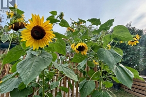 715 Mill Avenue - Photo 25