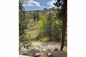 755 South Crest Drive - Photo 80