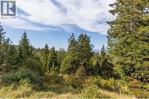 4444 June Springs Road - Photo 46